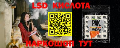 прущие грибы Малоярославец
