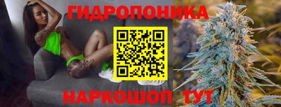 прущие грибы Малоярославец