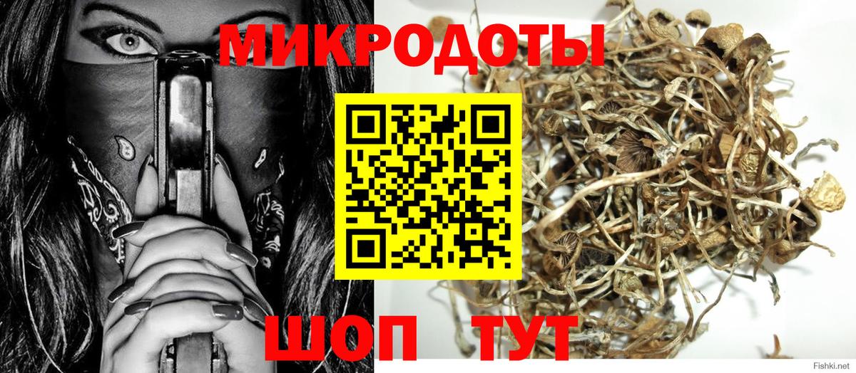 Псилоцибиновые грибы Psilocybe  Вход с VPN  Ивантеевка 
