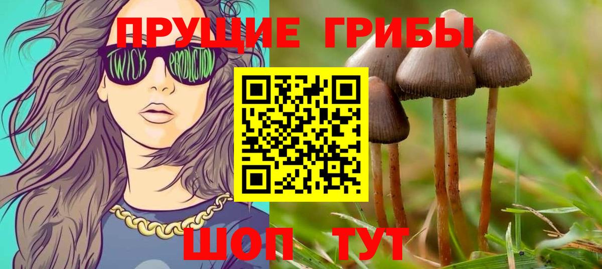 Псилоцибиновые грибы мухоморы Ивантеевка